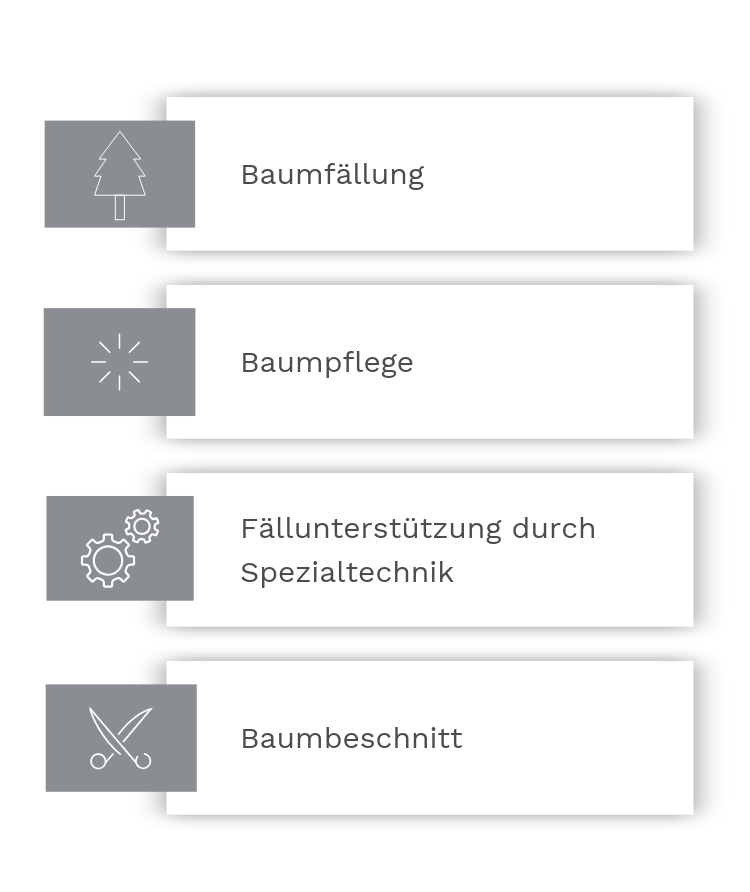 Leistungen Baumarbeiten - Seilzugangstechnik Neugebauer